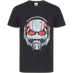Vêtements Homme T-shirts manches courtes Marvel  Noir