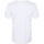Vêtements Homme T-shirts manches longues Disney A New Hope Blanc