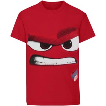 Vêtements Enfant T-shirts manches courtes Disney NS4884 Rouge