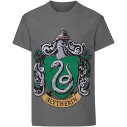 Vêtements Garçon T-shirts manches courtes Harry Potter  Charbon
