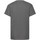 Vêtements Garçon T-shirts manches courtes Harry Potter NS4903 Gris