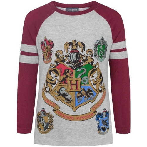 Vêtements Fille T-shirts manches longues Harry Potter NS4955 Multicolore