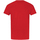 Vêtements Garçon T-shirts manches courtes Flash NS5009 Rouge