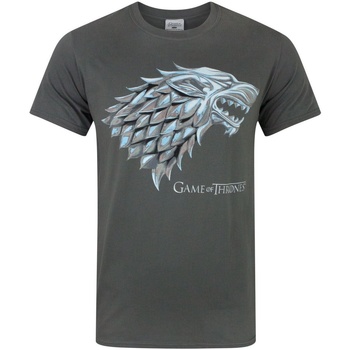 Vêtements Homme T-shirts manches longues Game Of Thrones NS5155 Gris