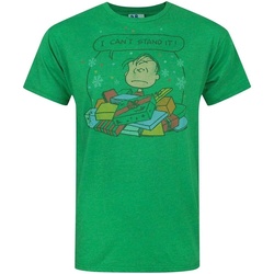 Vêtements Homme T-shirts manches courtes Junk Food  Vert