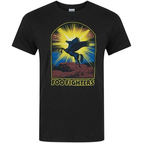 Vêtements Homme T-shirts manches longues Foo Fighters NS5488 Noir