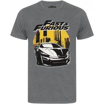 Vêtements Homme T-shirts manches longues Fast & Furious NS5929 Gris