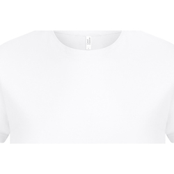 Vêtements Homme T-shirts manches longues Casual Classics AB263 Blanc