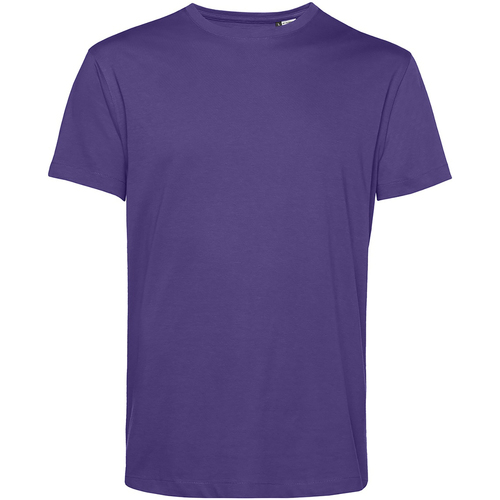 Vêtements Homme T-shirts manches longues B&c E150 Violet