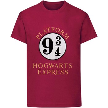 Vêtements Enfant T-shirts manches courtes Harry Potter  Multicolore