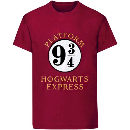 Vêtements Femme T-shirts manches longues Harry Potter  Violet