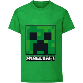 Vêtements Enfant Sacs homme à moins de 70 Minecraft HE482 Vert