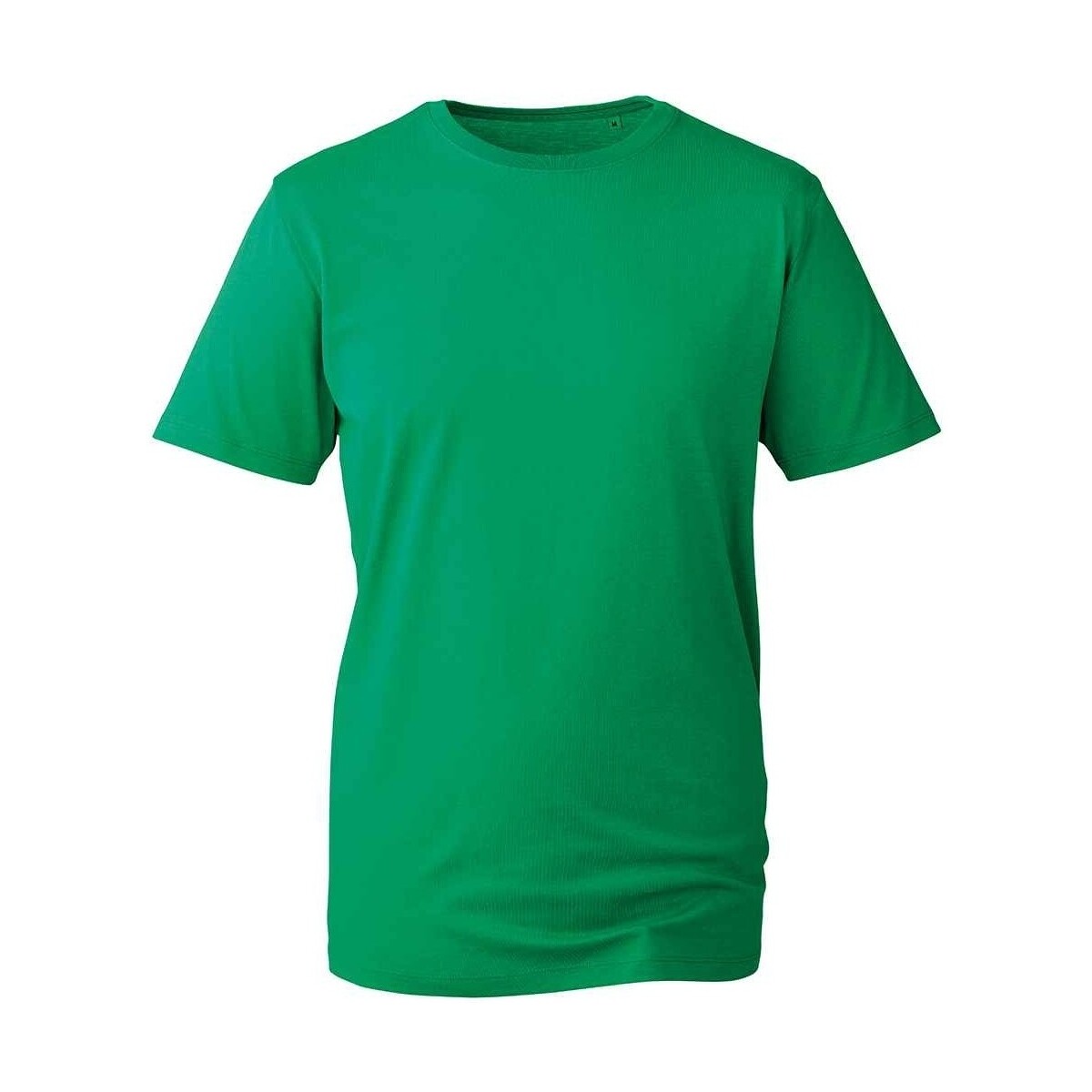 Vêtements Homme T-shirts manches longues Anthem AM10 Vert