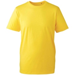 Vêtements Homme T-shirts manches longues Anthem AM10 Multicolore
