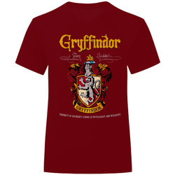 Vêtements T-shirts & Polos Harry Potter  Bordeaux