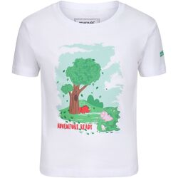 Vêtements cotton T-shirts manches courtes Regatta  Blanc