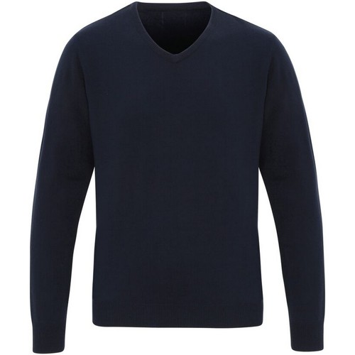 Vêtements Homme Sweats Premier Essential Bleu