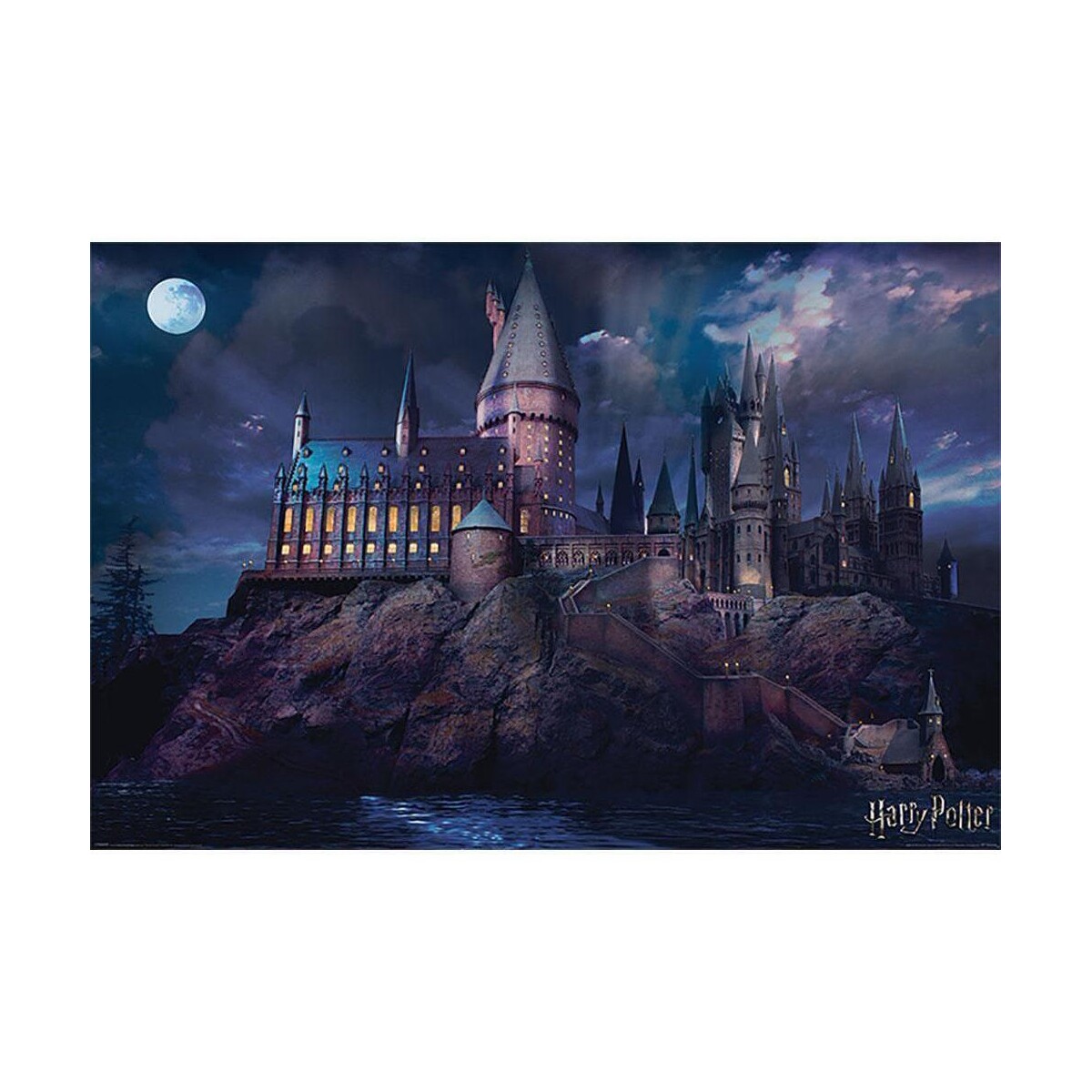 Maison & Déco Affiches / posters Harry Potter TA357 Multicolore