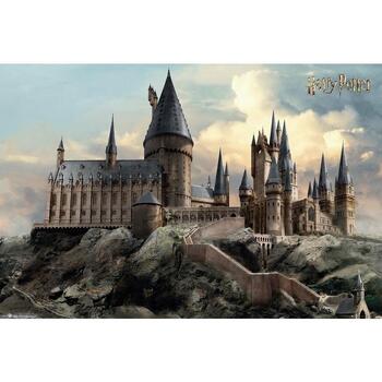 Maison & Déco Affiches / posters Harry Potter TA4015 Multicolore