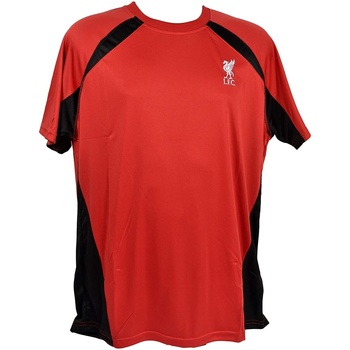 Vêtements Enfant T-shirts manches courtes Liverpool Fc  Noir