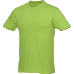 Vêtements T-shirts manches courtes Elevate  Vert