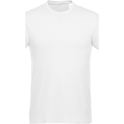 Vêtements T-shirts manches courtes Elevate  Blanc