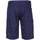 Vêtements Homme Shorts / Bermudas Portwest RW8093 Bleu