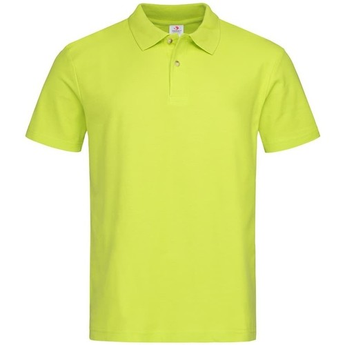 Vêtements Homme T-shirts & Polos Stedman AB282 Vert