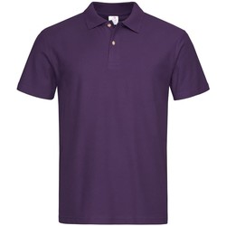 Vêtements Homme T-shirts & Polos Stedman  Violet