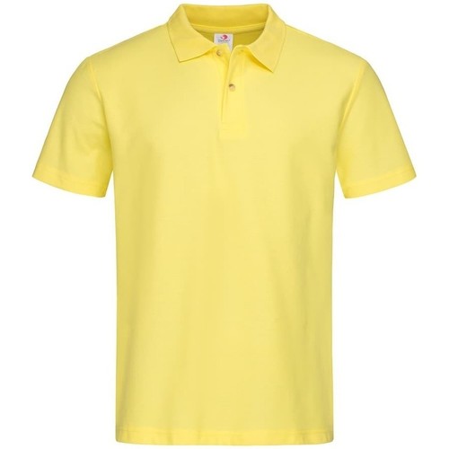 Vêtements Homme T-shirts & Polos Stedman  Multicolore