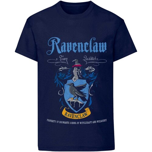 Vêtements Champion Crush Dye Fleece Sweatshirt Harry Potter HE458 Bleu
