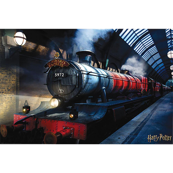 Maison & Déco Affiches / posters Harry Potter TA358 Multicolore