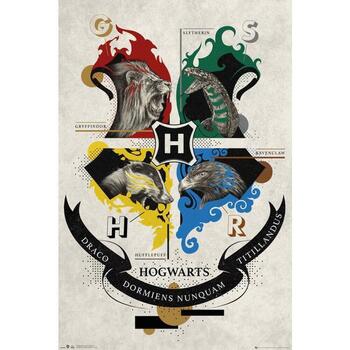 Maison & Déco Affiches / posters Harry Potter TA7723 Noir