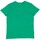 Vêtements Homme T-shirts manches courtes Mantis M01 Vert