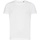 Vêtements Enfant T-shirts manches courtes Ecologie Cascades Blanc