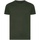 Vêtements Enfant T-shirts manches courtes Ecologie Cascades Vert