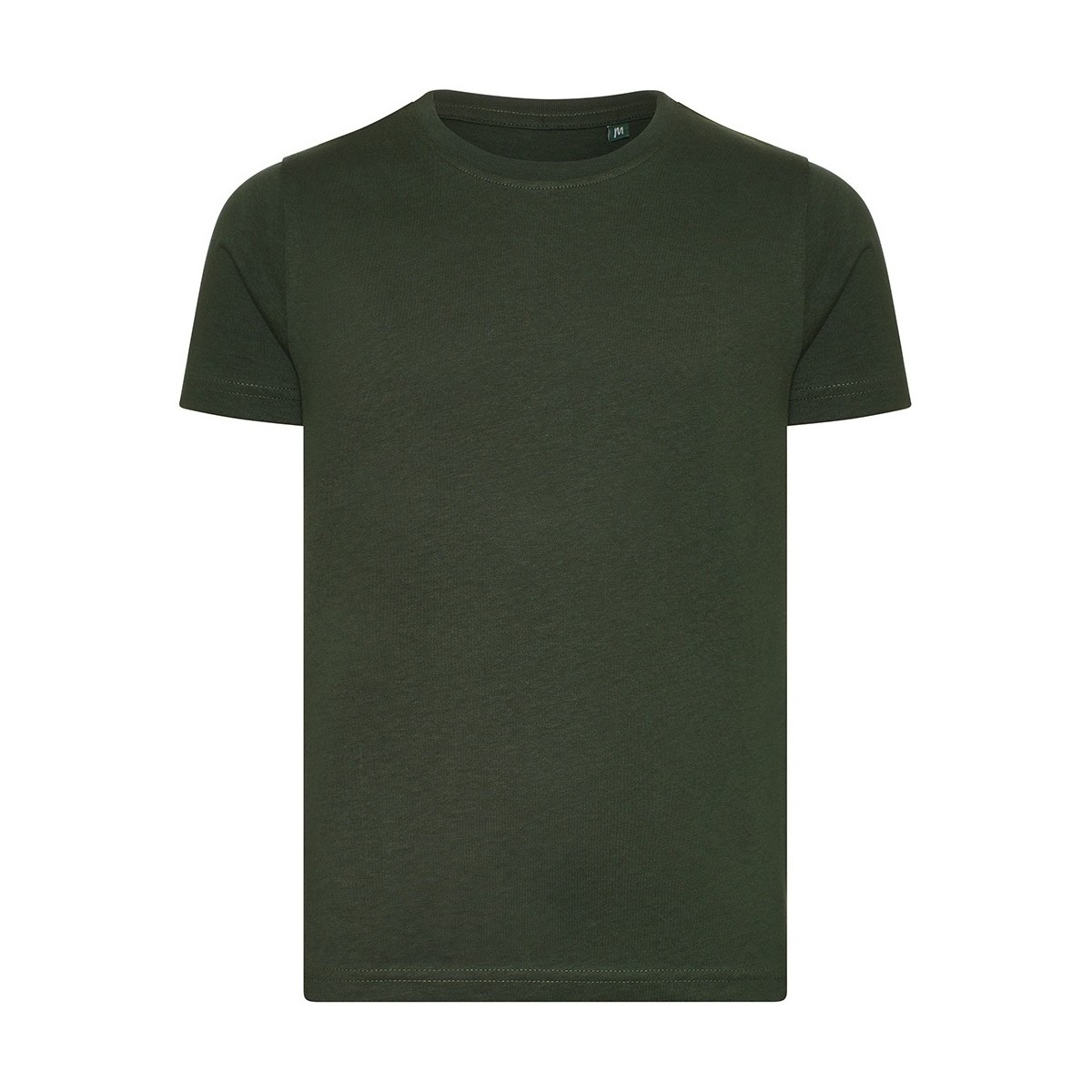Vêtements Enfant T-shirts manches courtes Ecologie Cascades Vert