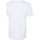 Vêtements T-shirts manches courtes Steven Rhodes PM491 Blanc