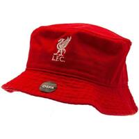 Accessoires textile Chapeaux Liverpool Fc  Rouge