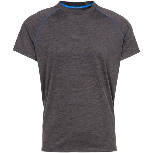 Vêtements Homme T-shirts manches longues Trespass TP5240 Gris