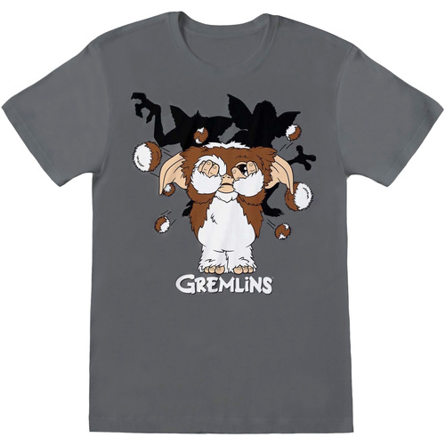 Gremlins Gris - Vêtements T-shirts manches longues Homme 18,65 €