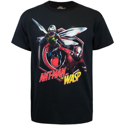Vêtements Homme T-shirts manches longues Ant-Man Burst Noir