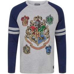 Vêtements Homme Utilisez au minimum 1 lettre majuscule Harry Potter  Gris/bleu marine