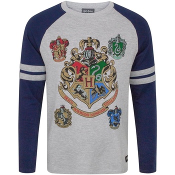 Vêtements Homme T-shirts manches longues Harry Potter  Gris / bleu marine