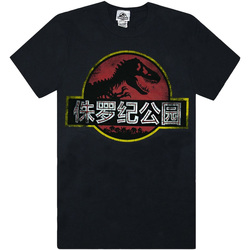 Vêtements Homme T-shirts manches longues Jurassic Park NS5375 Noir