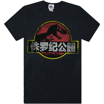 Vêtements Homme T-shirts manches courtes Jurassic Park  Noir
