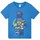 Vêtements Garçon T-shirts manches longues Lego NS5405 Bleu