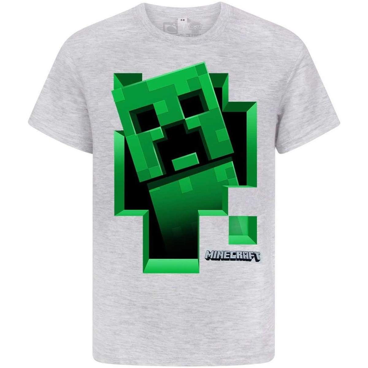 Vêtements Garçon T-shirts manches longues Minecraft  Gris