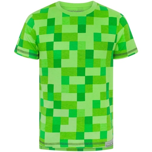 Vêtements Garçon T-shirts manches longues Minecraft NS5417 Vert