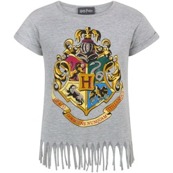 Vêtements Fille T-shirts manches courtes Harry Potter  Gris